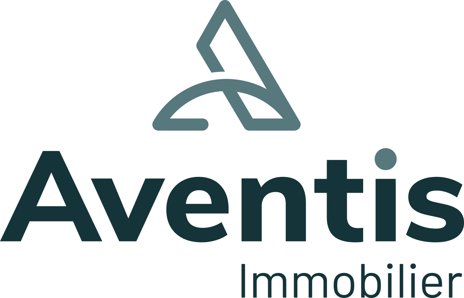Aventis Immobilier SA