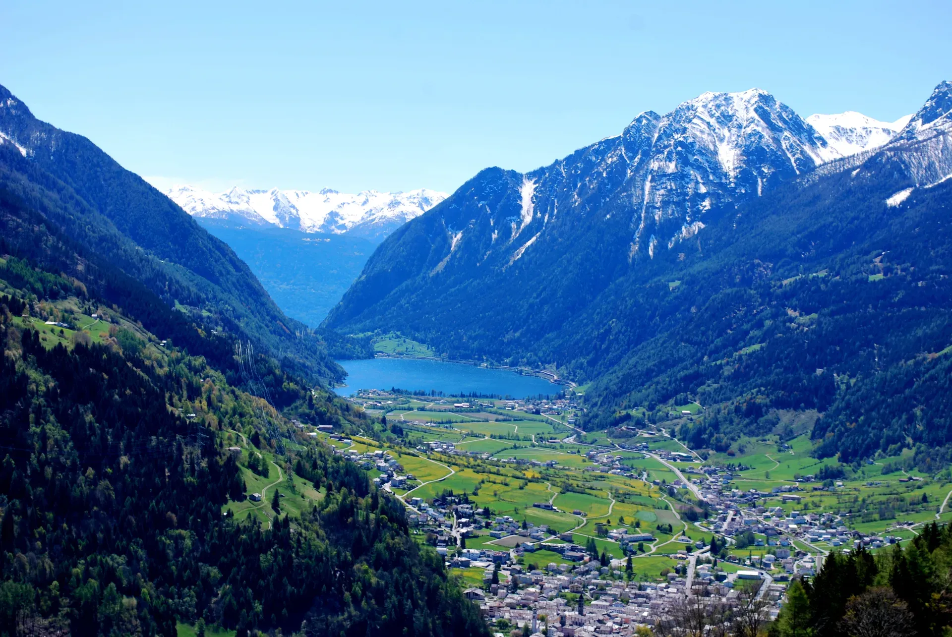 Bernina