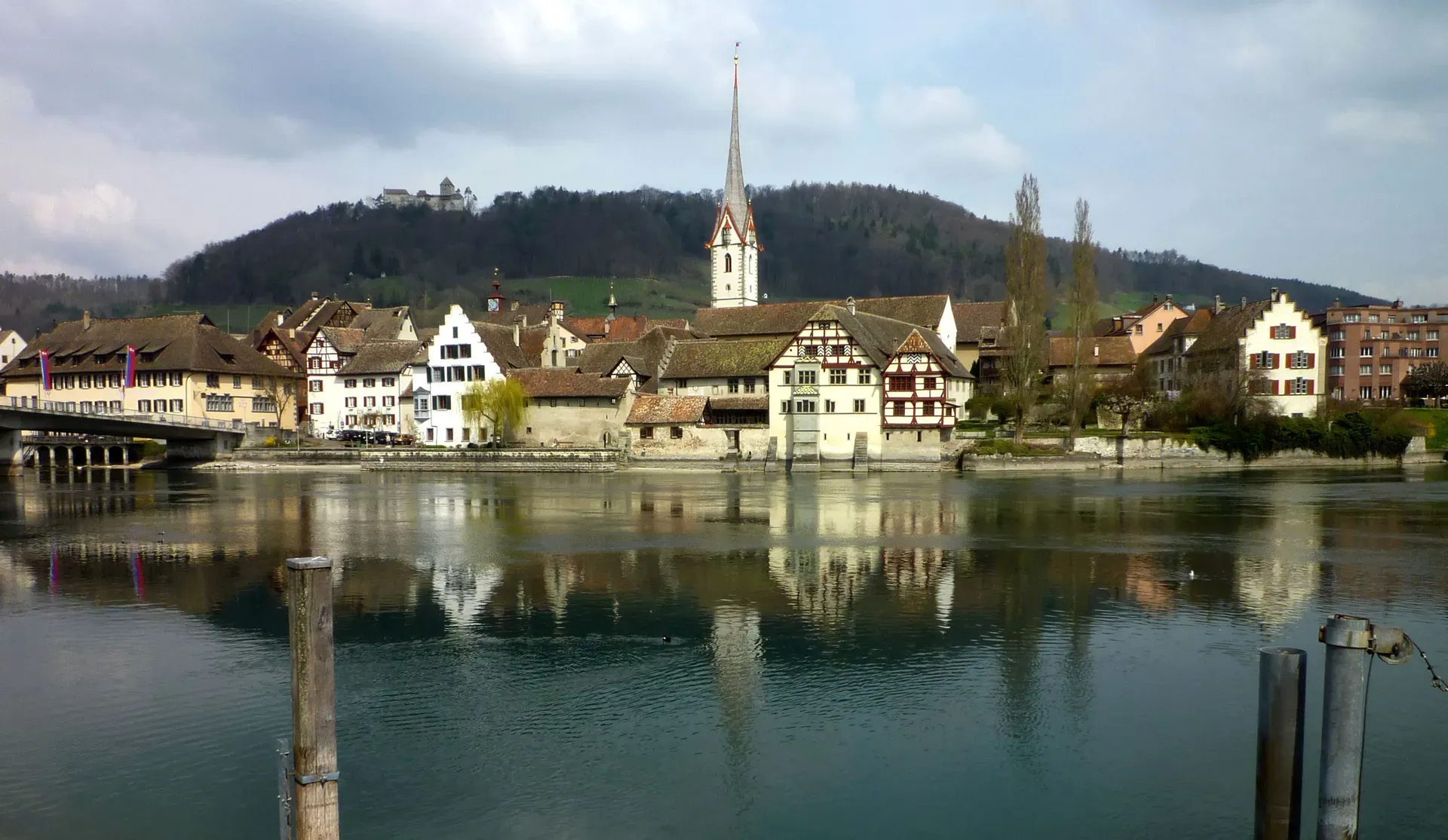 Stein