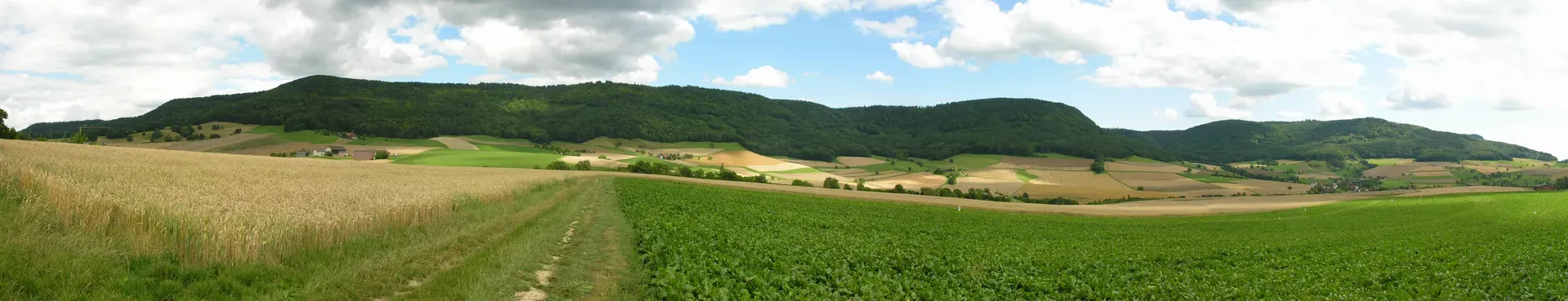 Beggingen