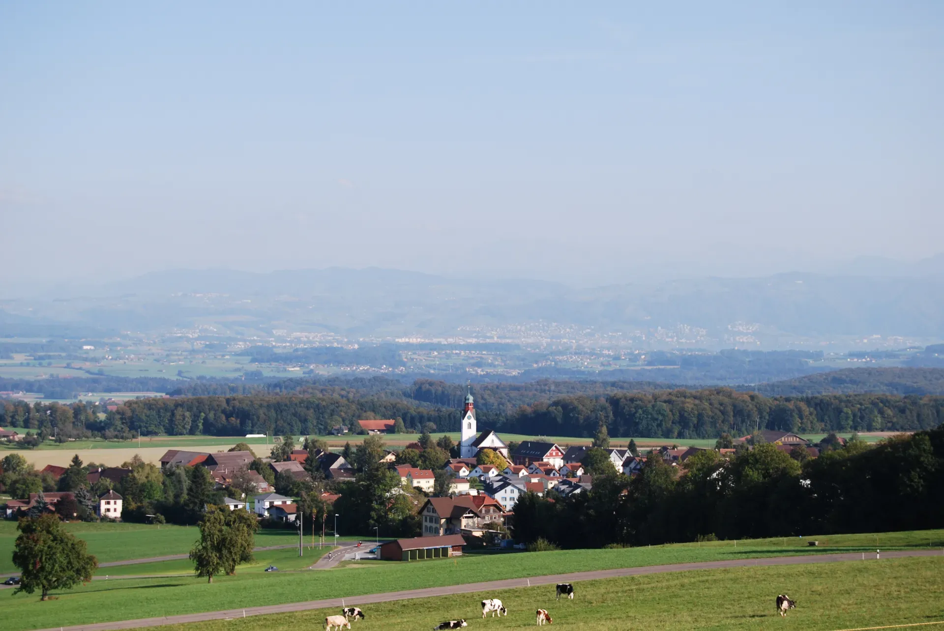 Beinwil (Freiamt)