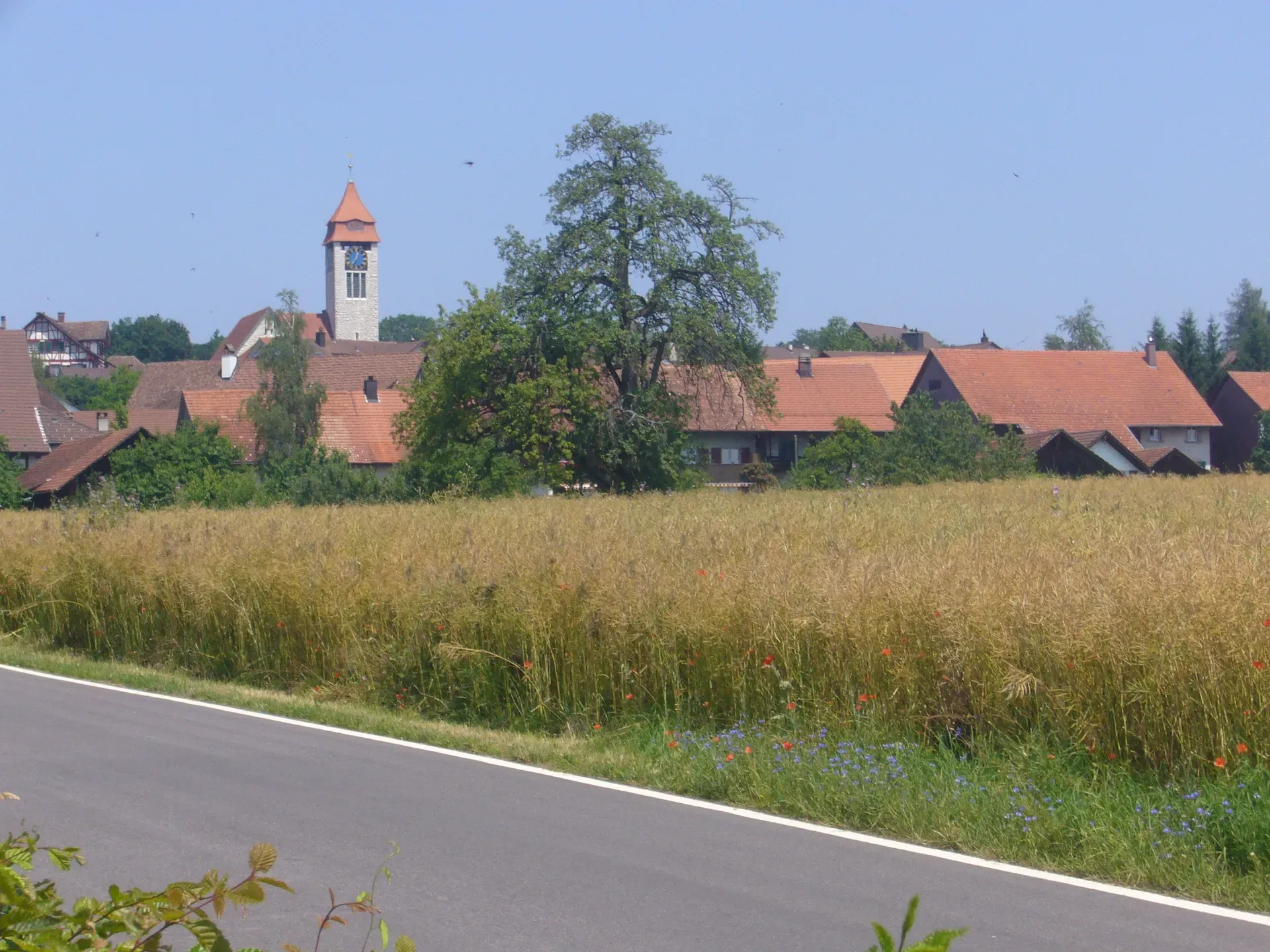 8311 Brütten