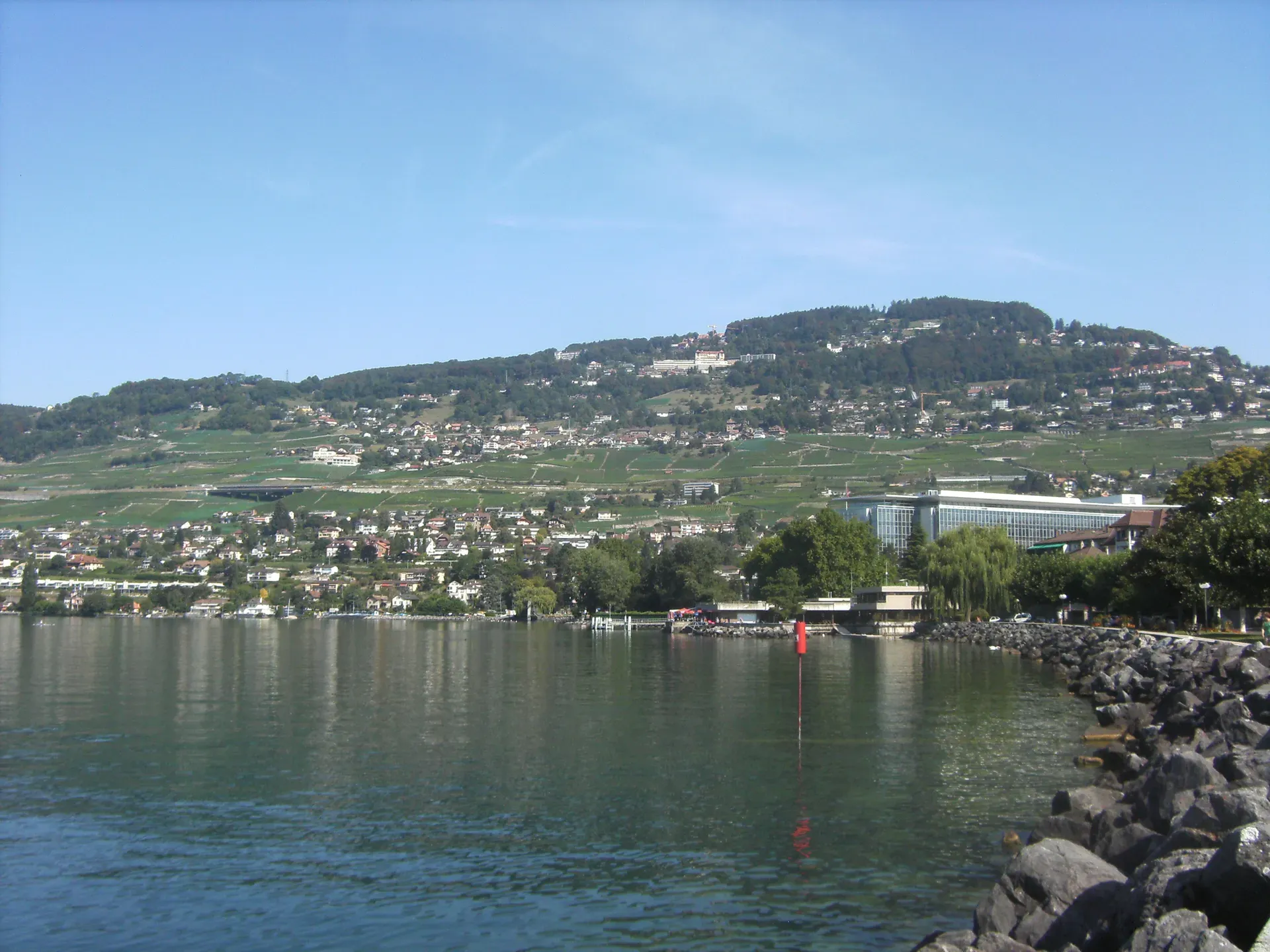 Chardonne