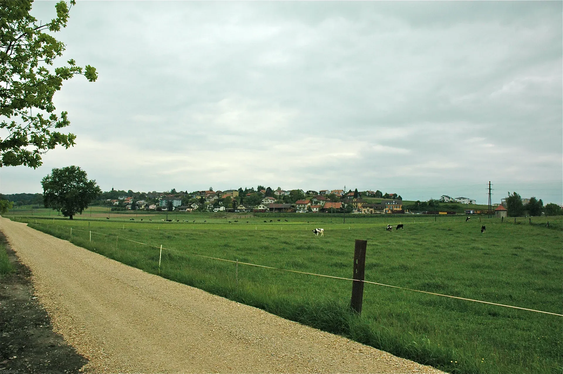 Cressier (FR)