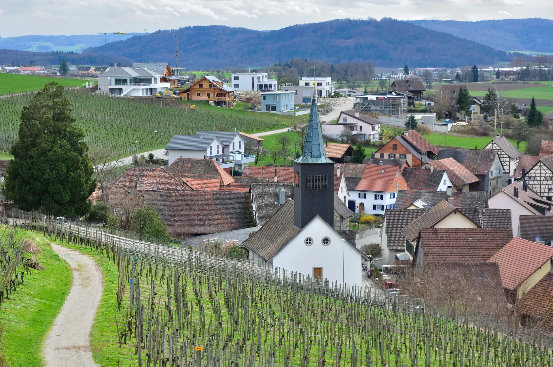 8239 Dörflingen