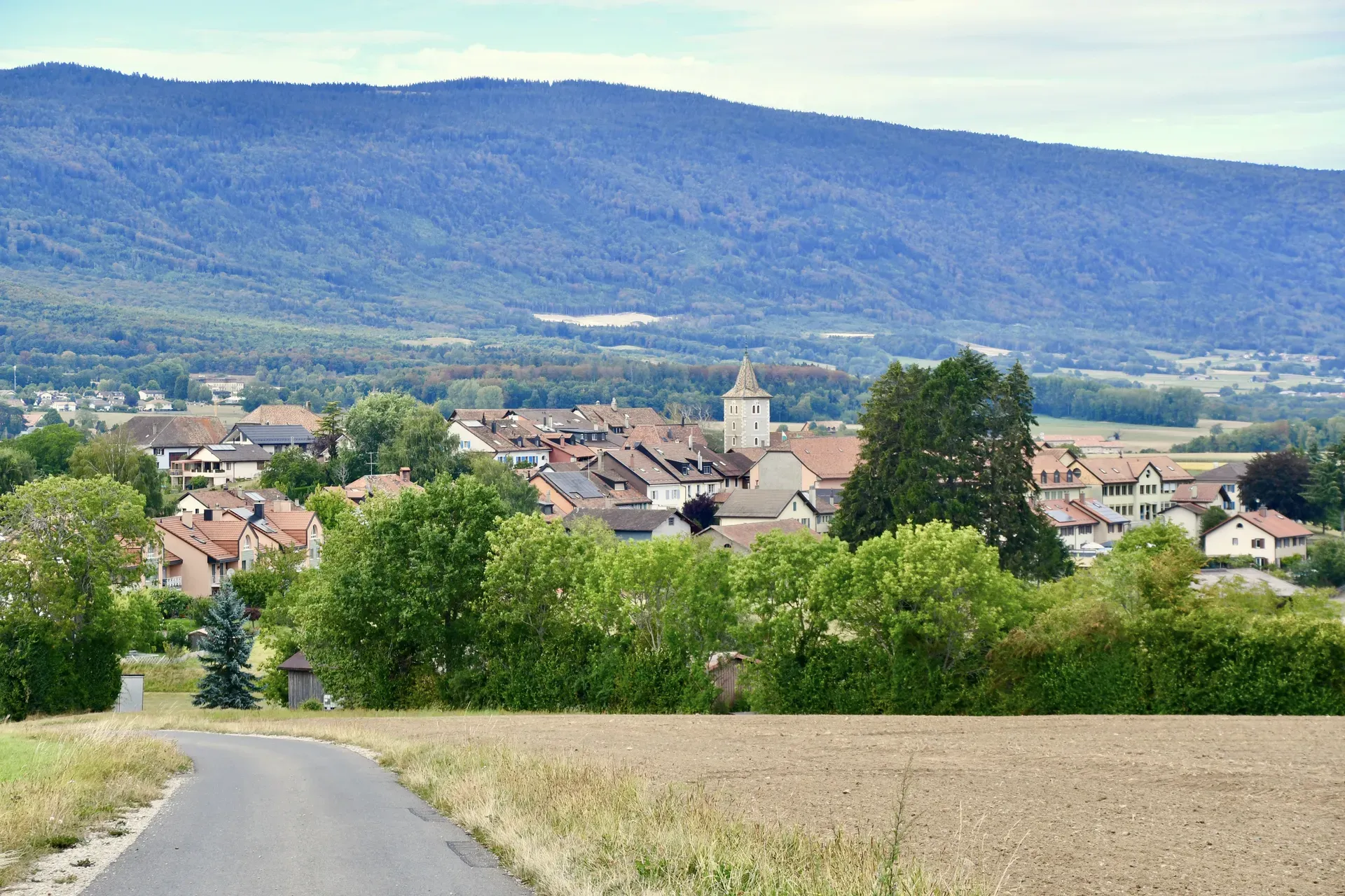 1186 Essertines-sur-Rolle