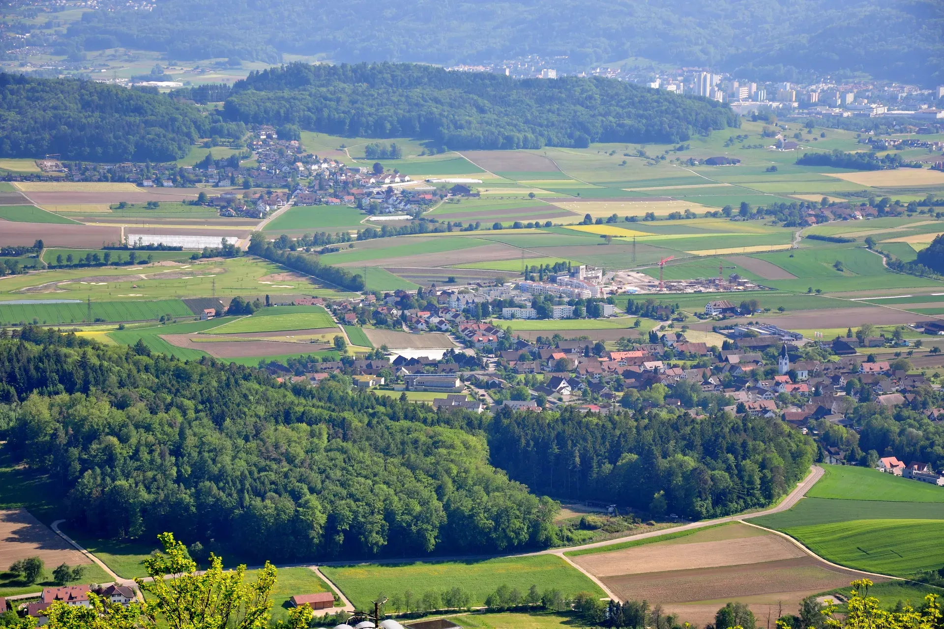 8115 Hüttikon