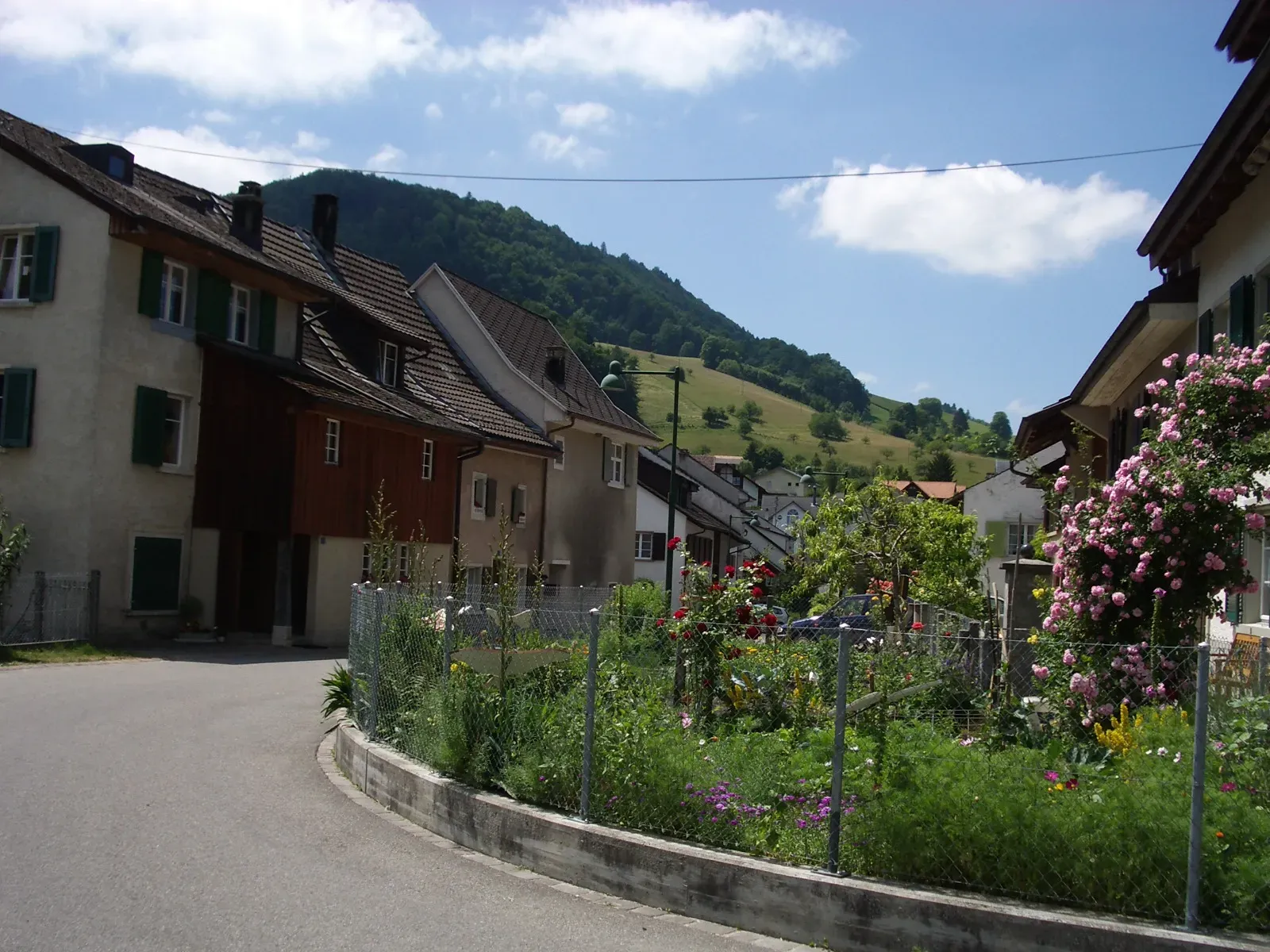 4426 Lauwil