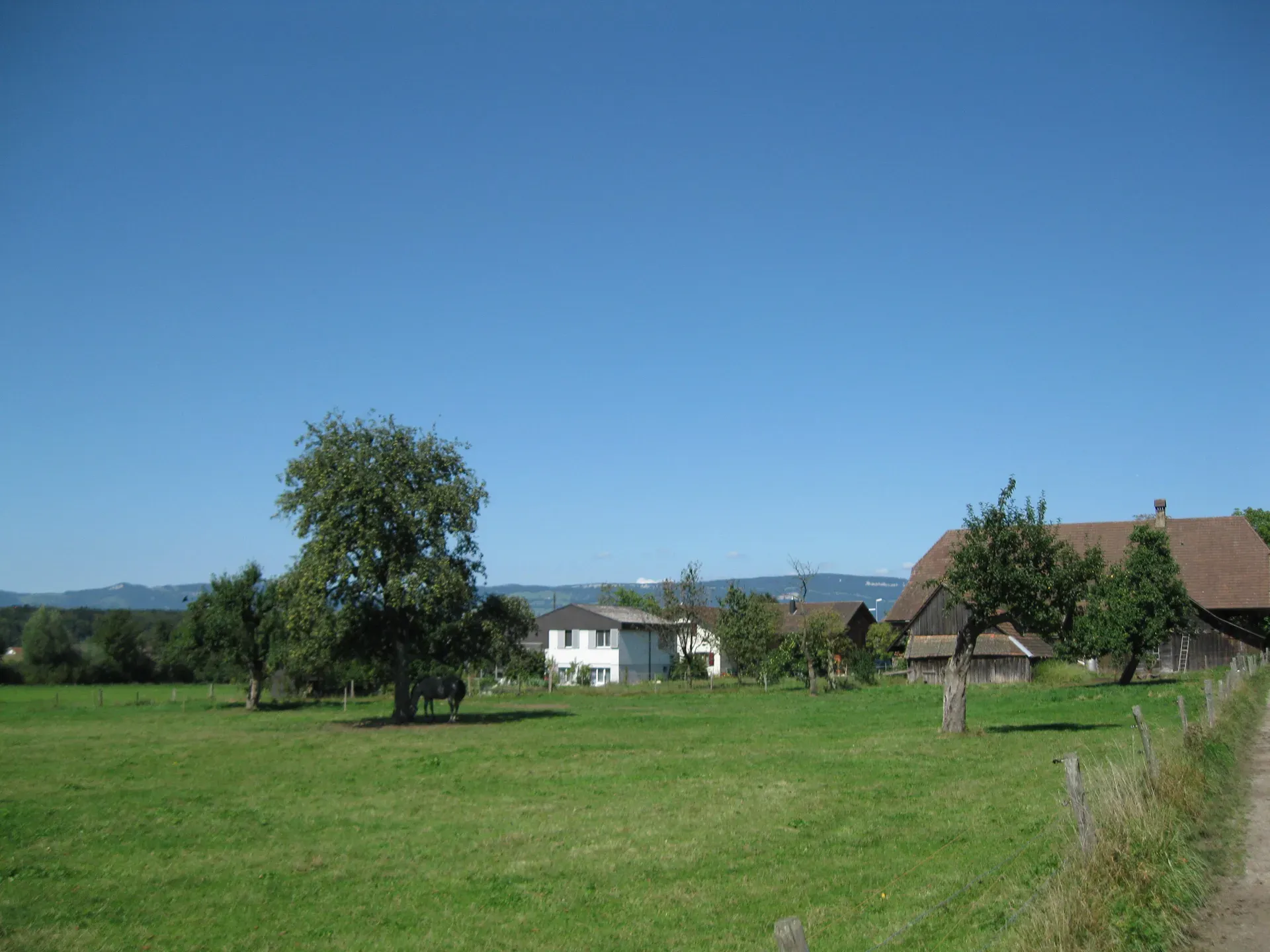 3362 Niederönz