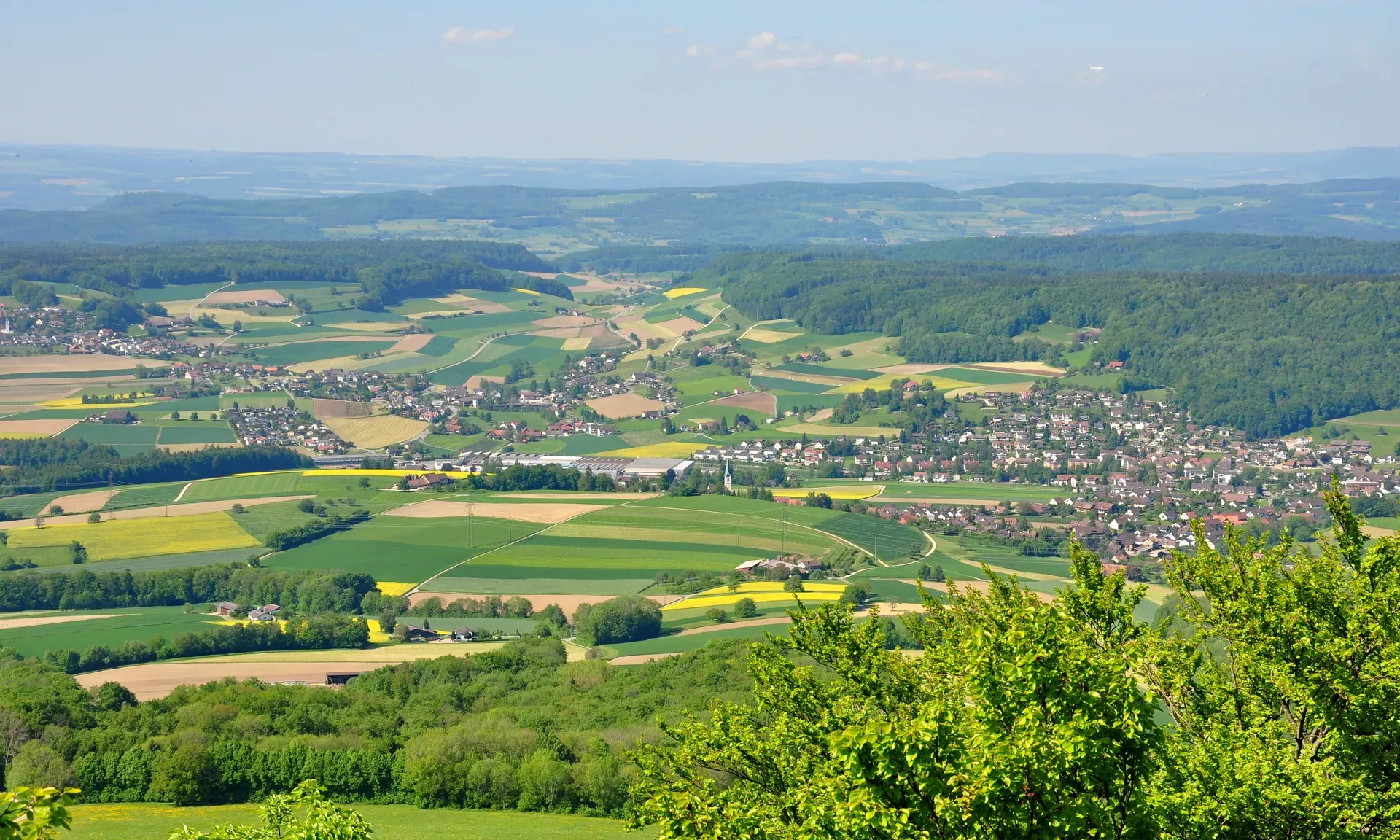Niederweningen