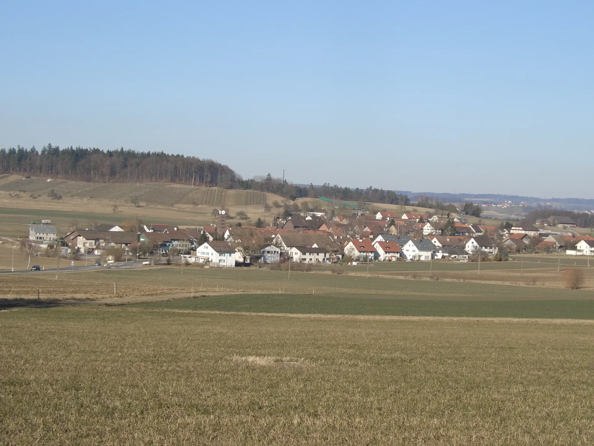 Rickenbach (ZH)