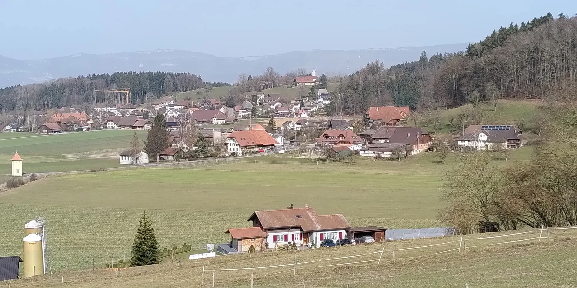 3365 Grasswil
