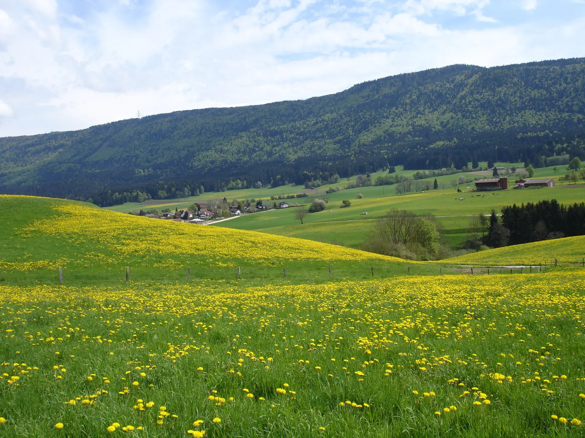 Bévilard