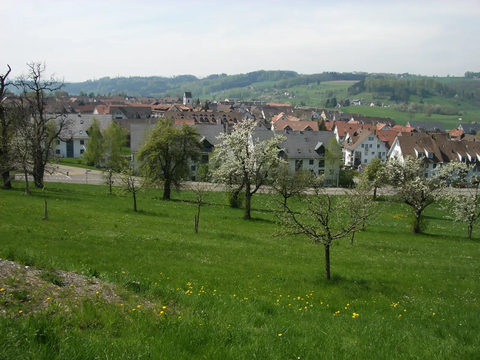 Bonstetten