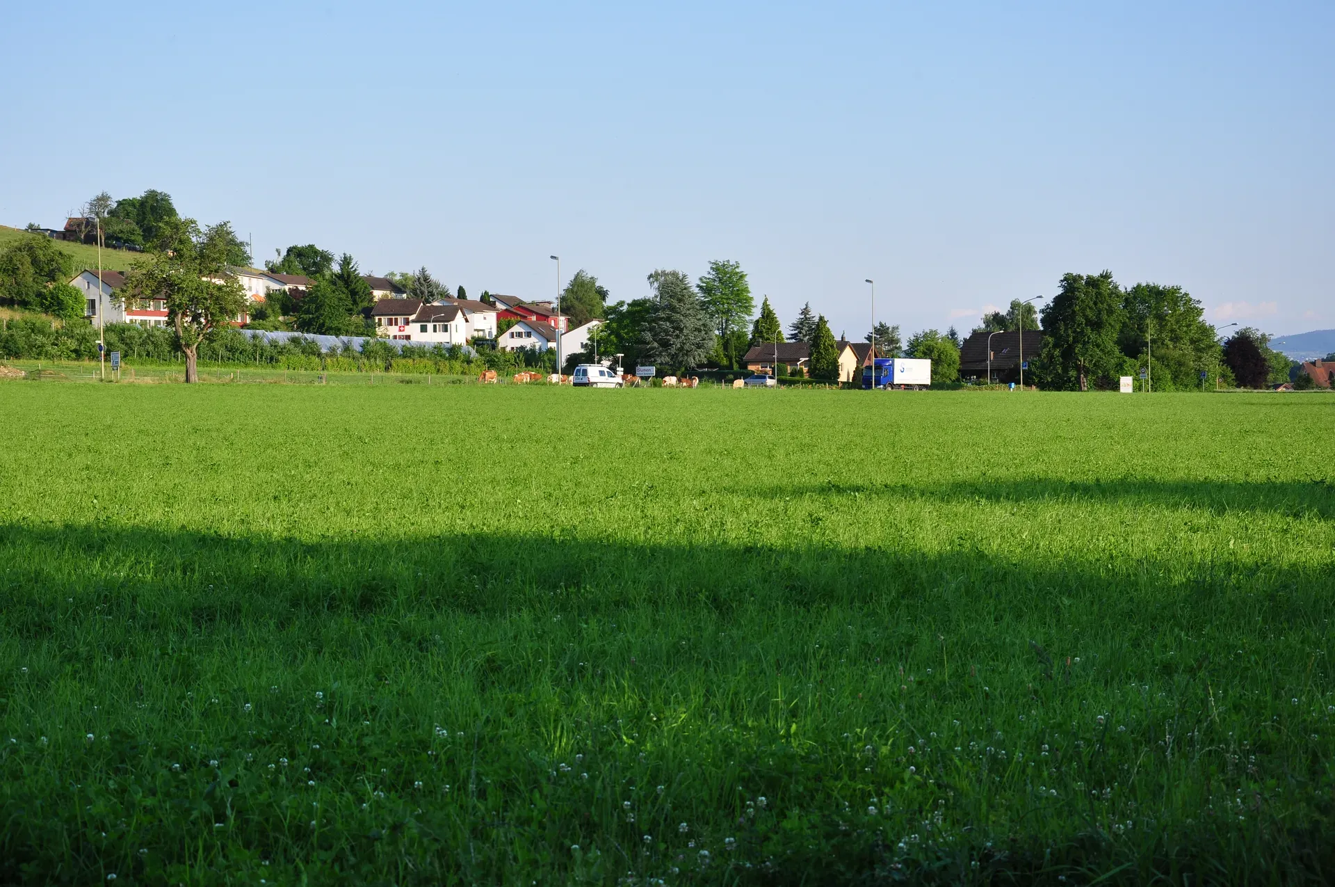 Dachsen