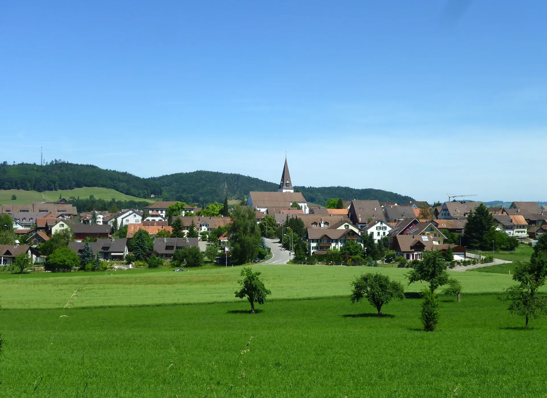 Elgg