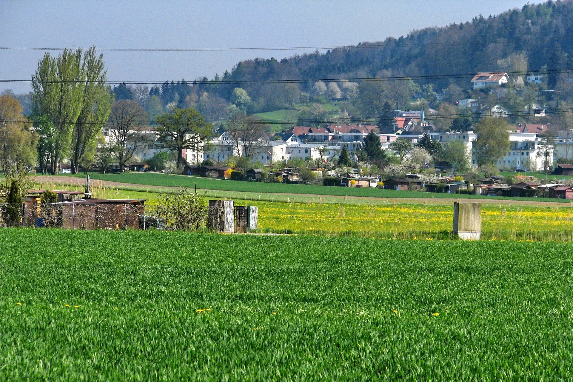 Fällanden