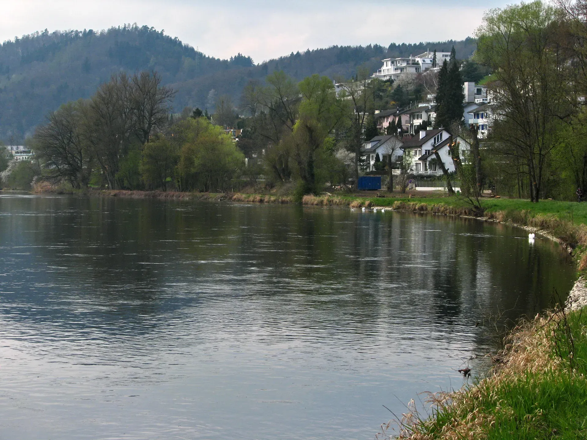 Geroldswil