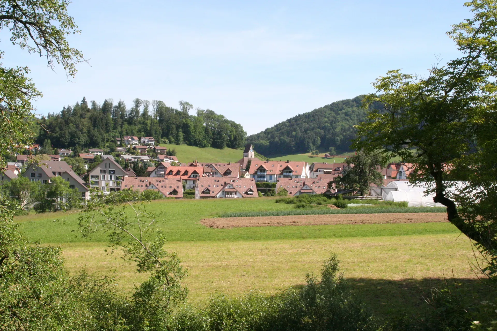 Gibswil