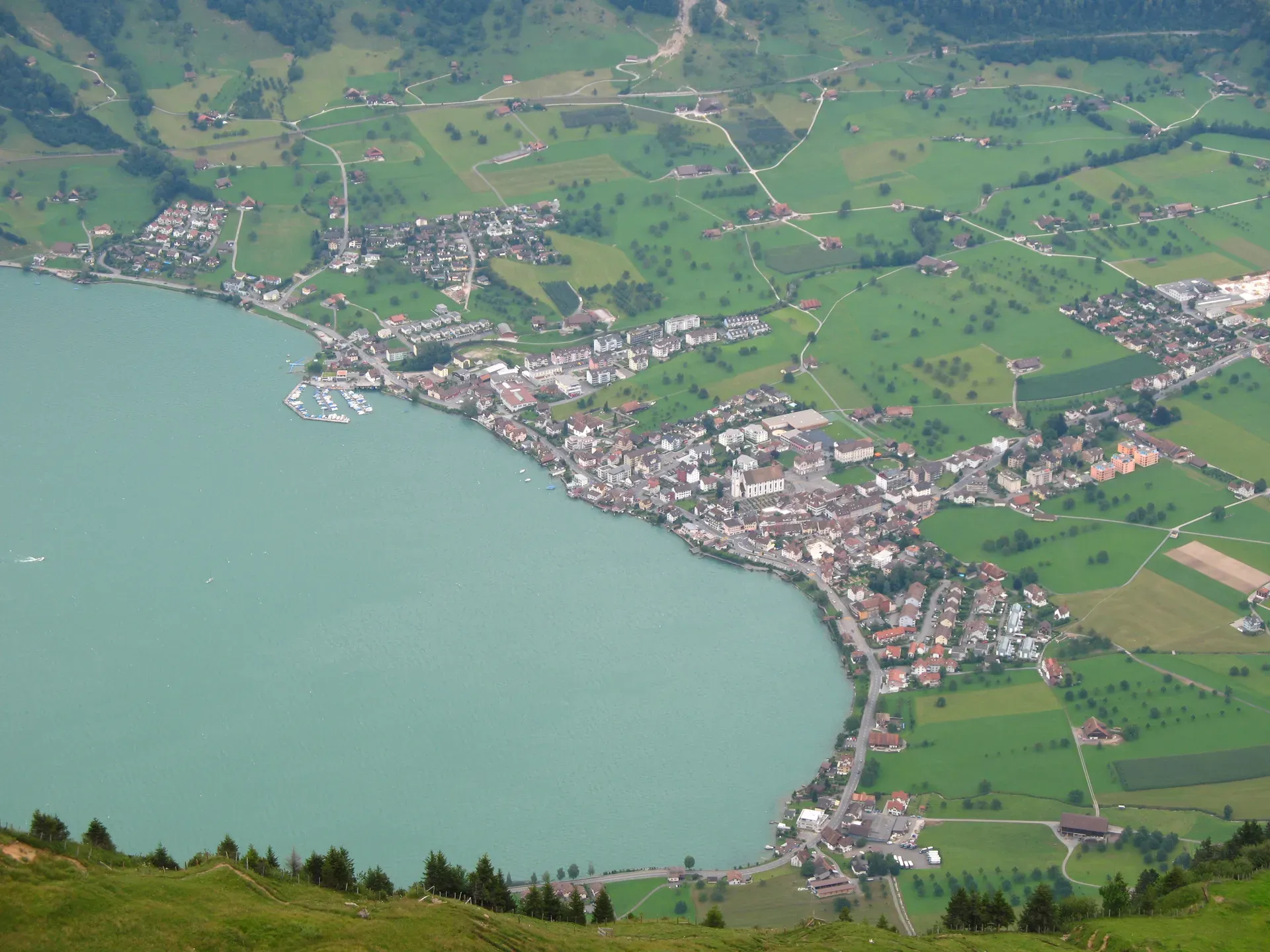Goldau