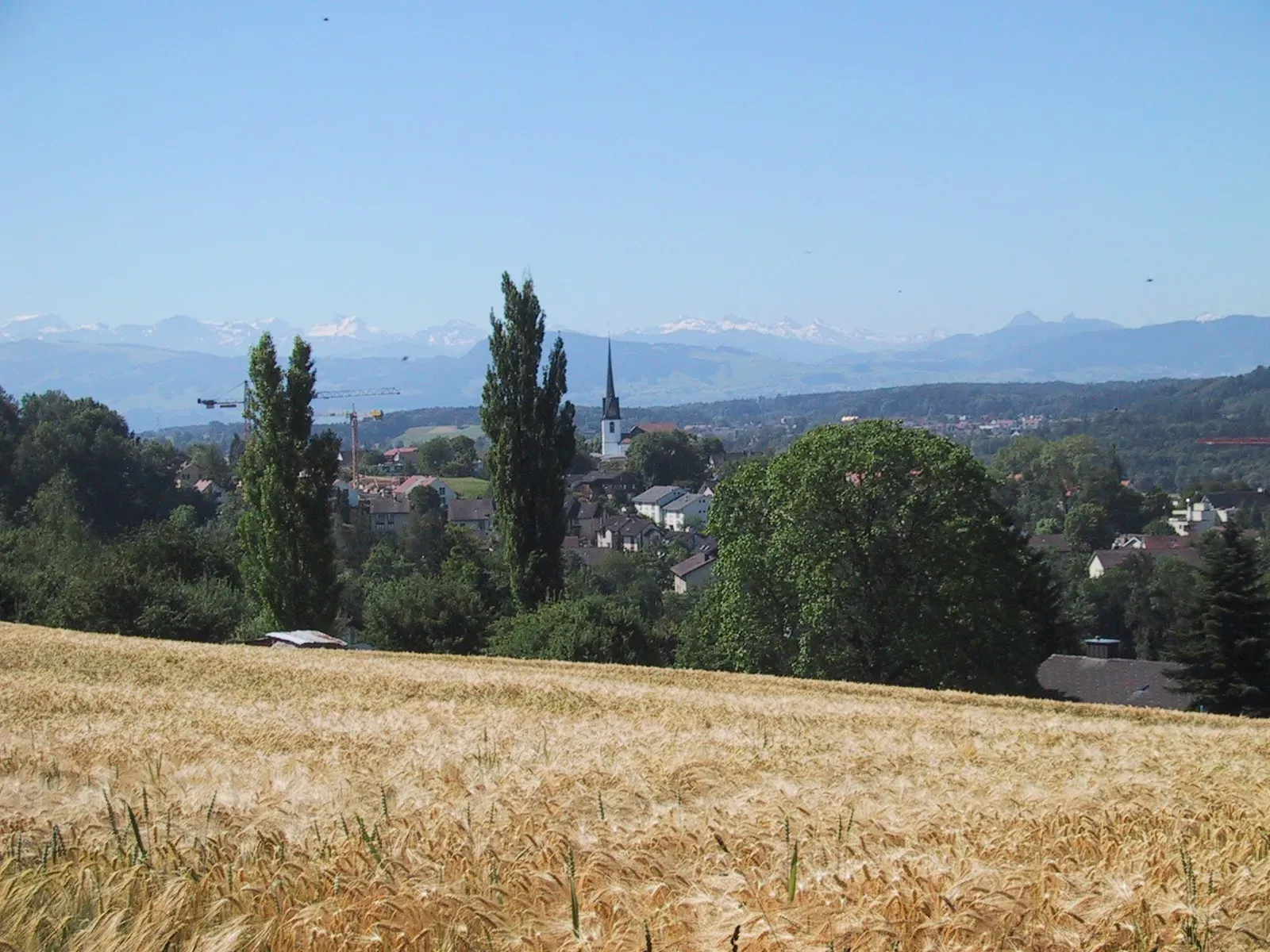 Gossau ZH