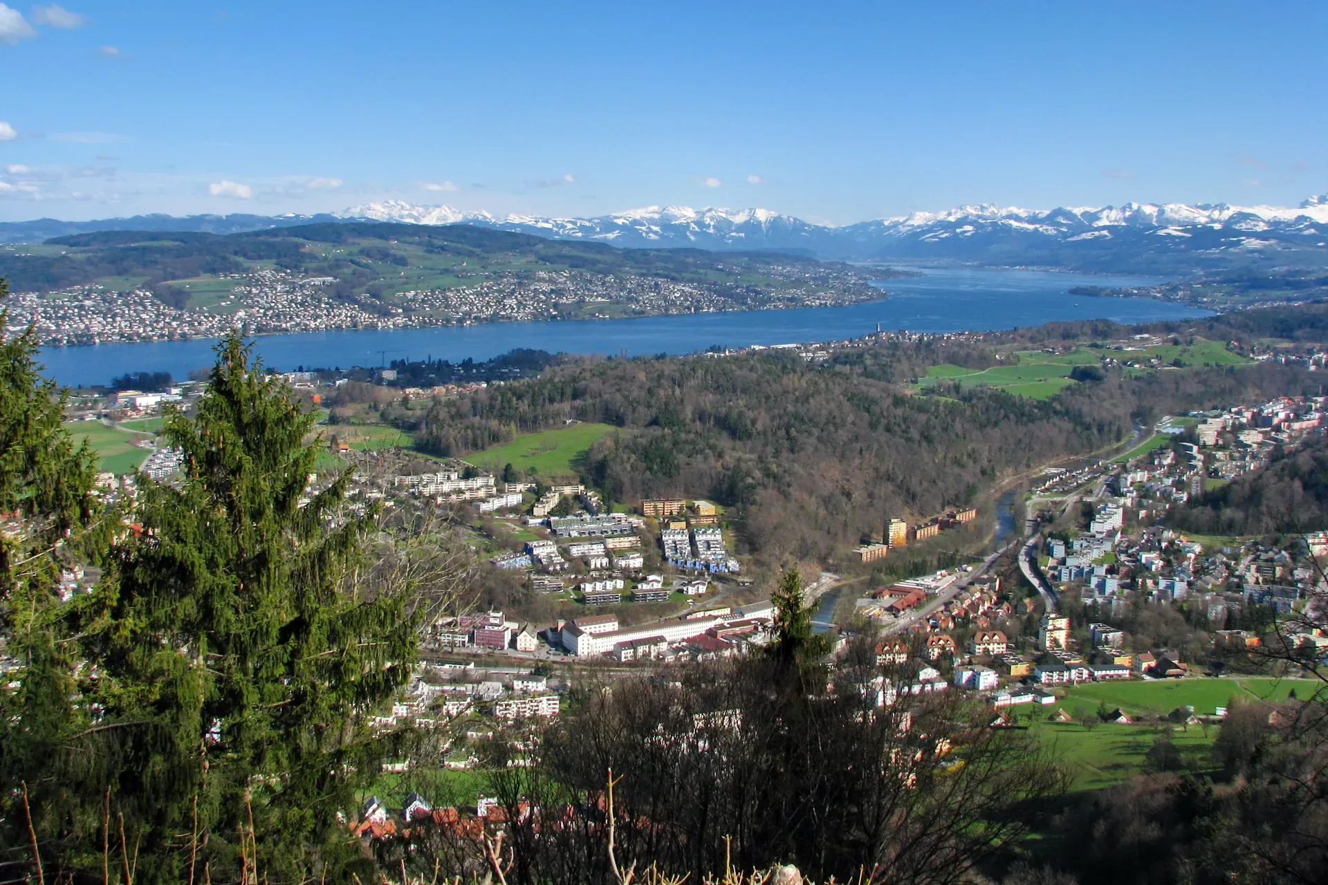 Langnau am Albis