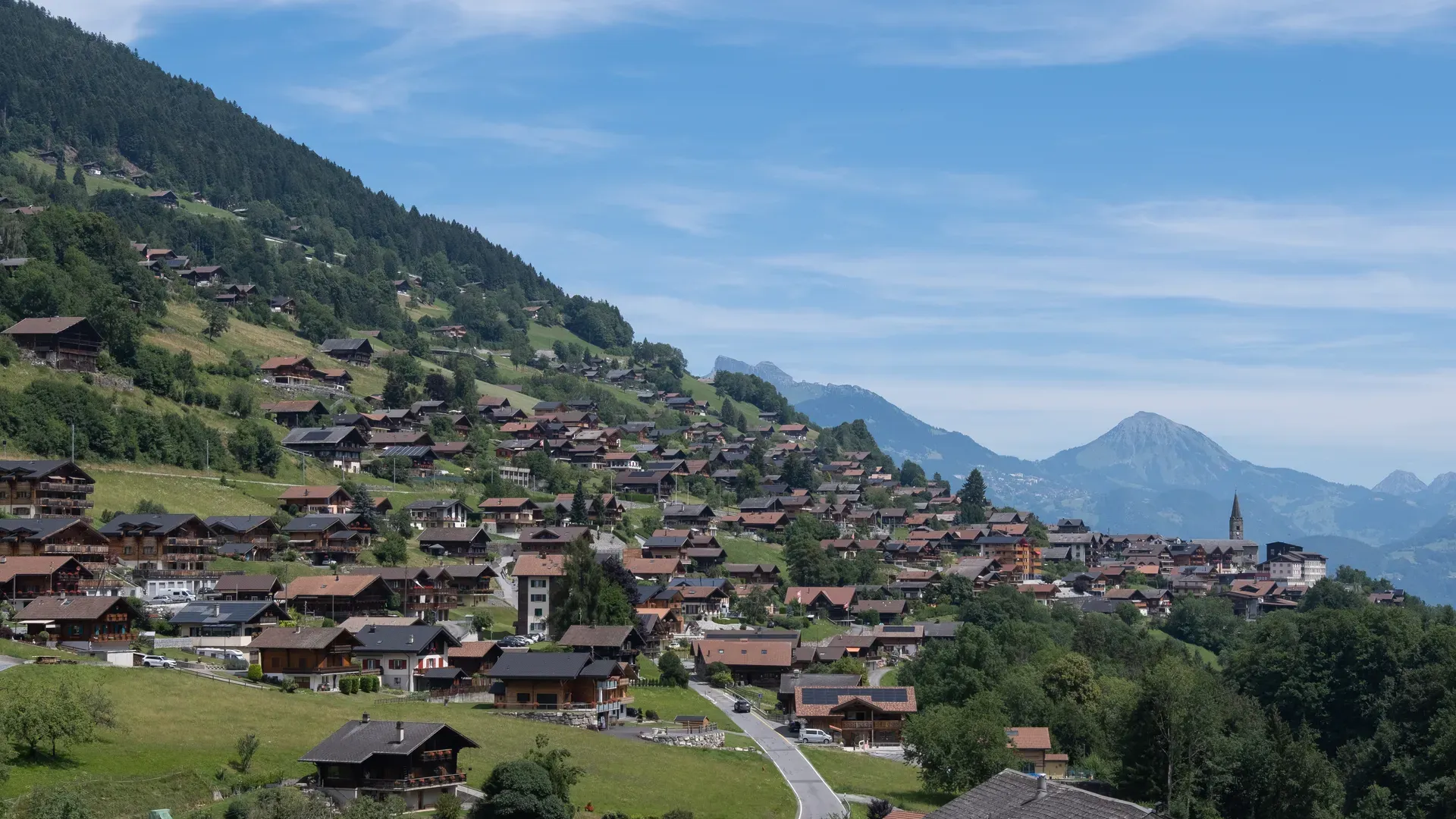 Morgins