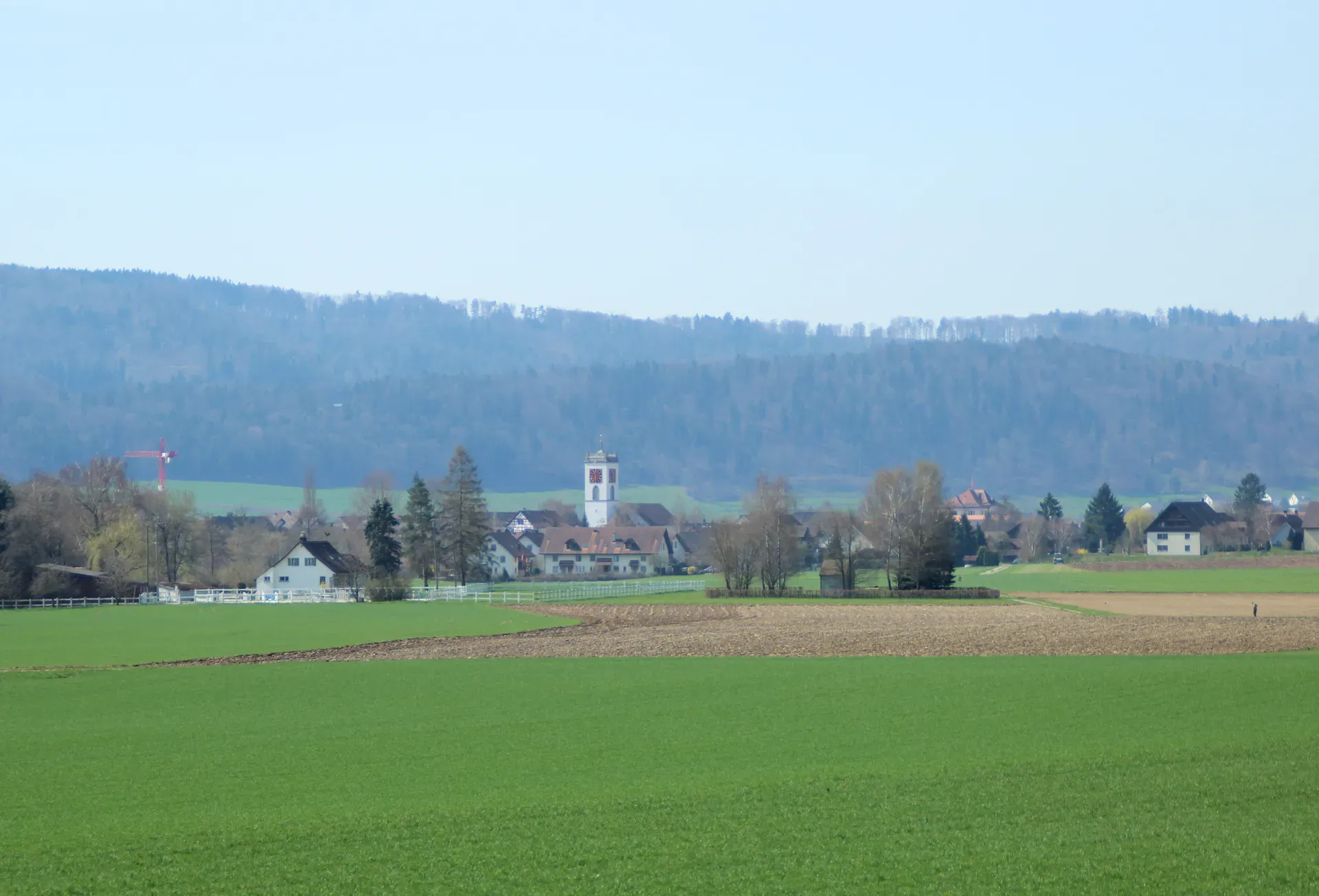 Neftenbach