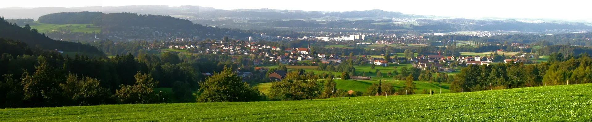 Niederuzwil