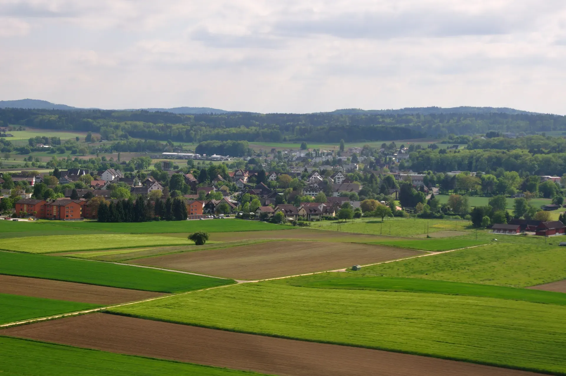 Oberglatt ZH