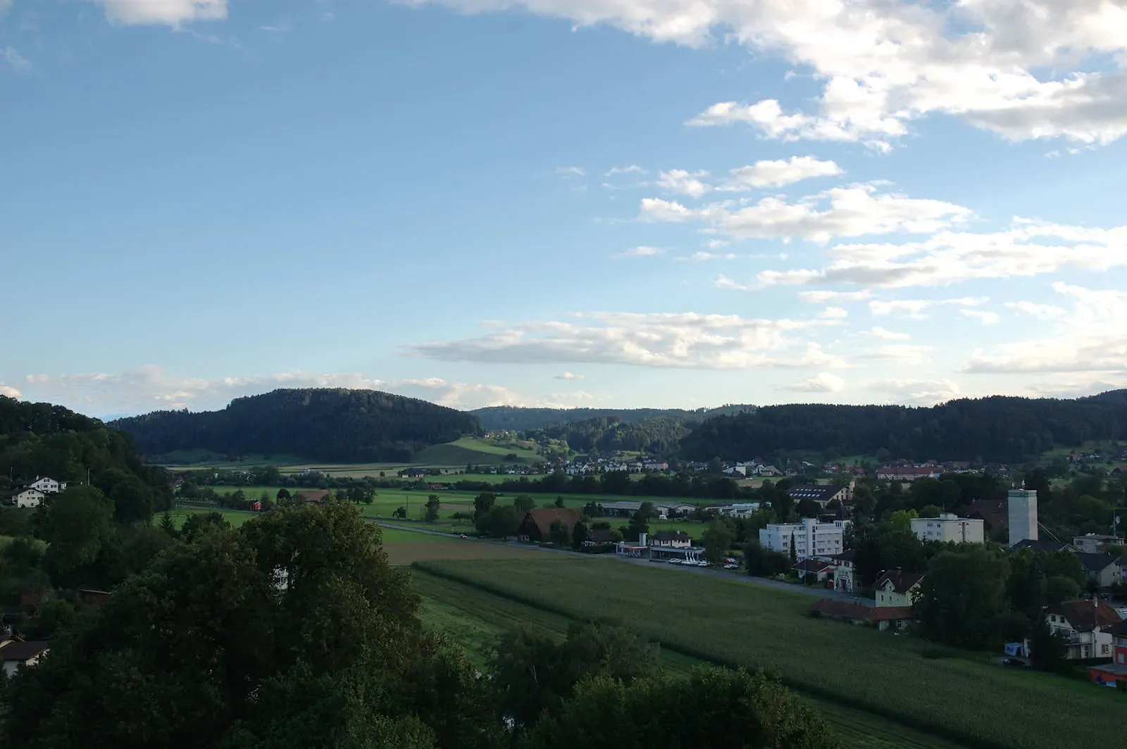 Reiden