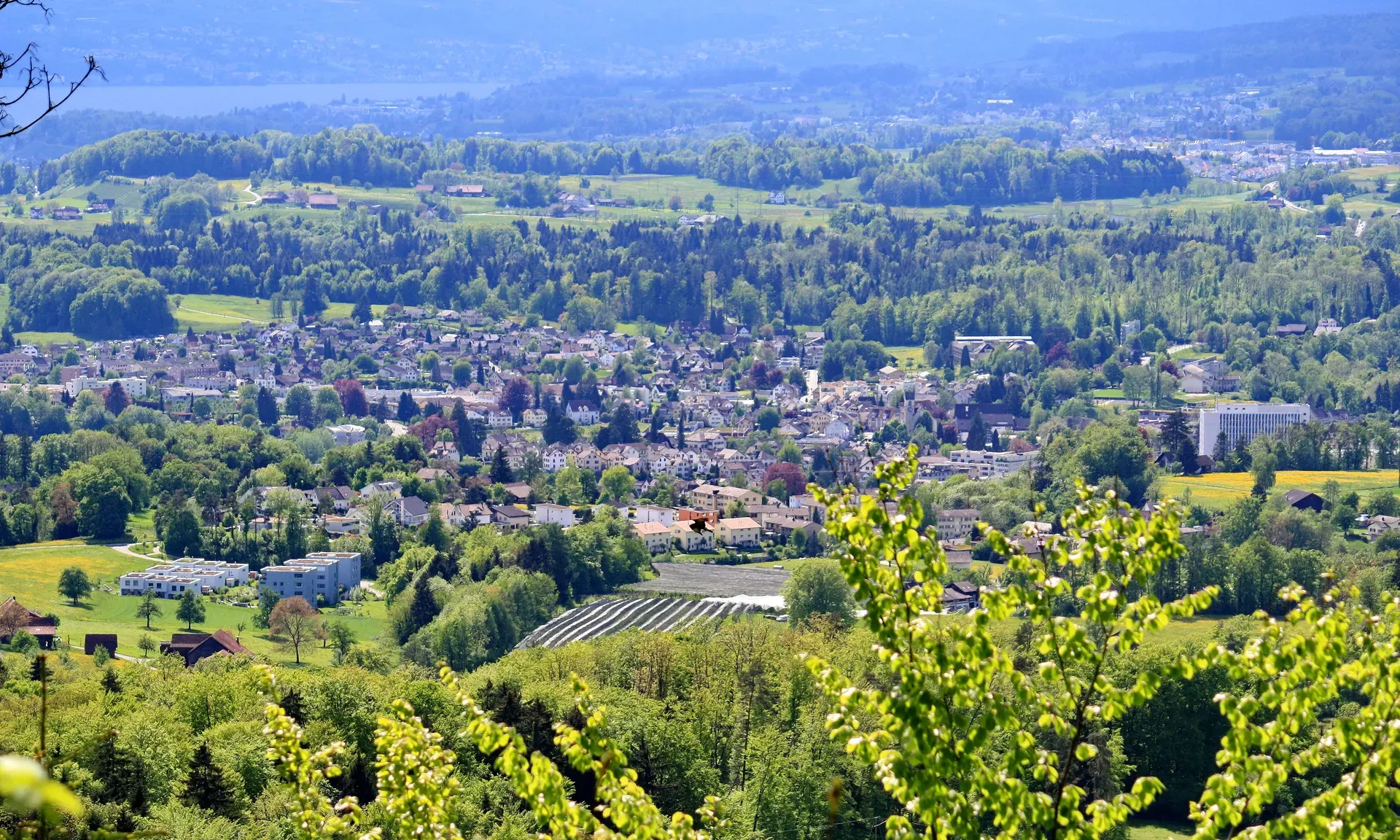 Rüti ZH