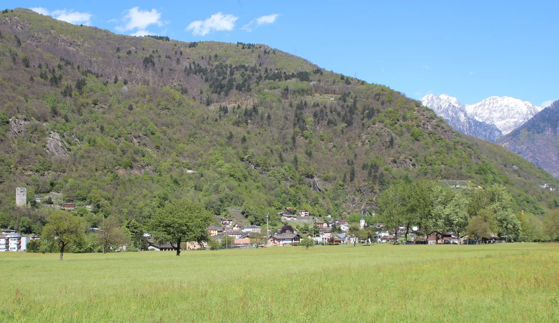 S. Vittore