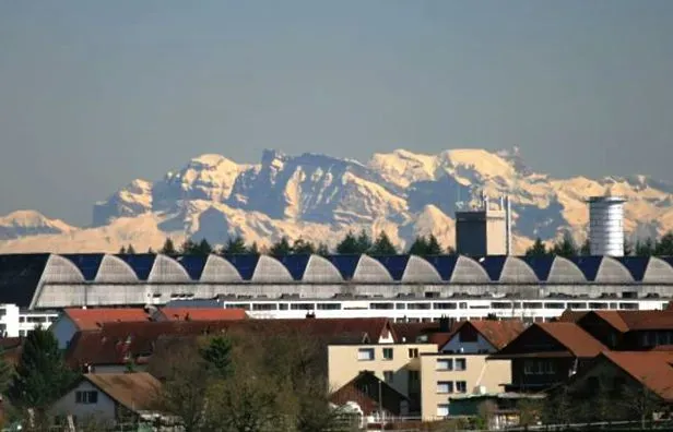 Scherz