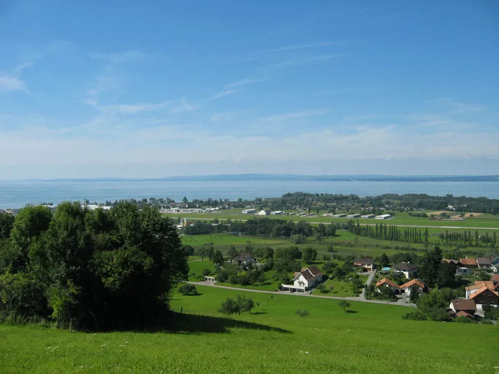 Staad SG