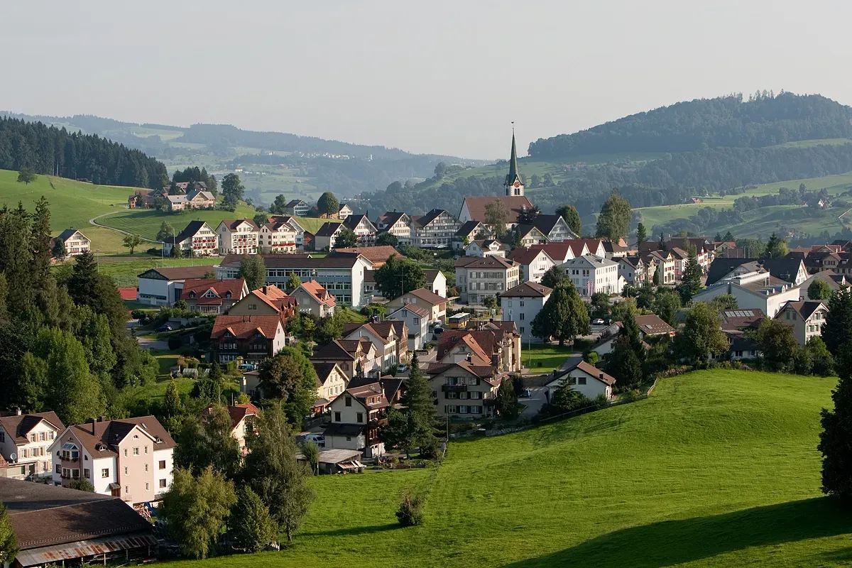 Stein AR