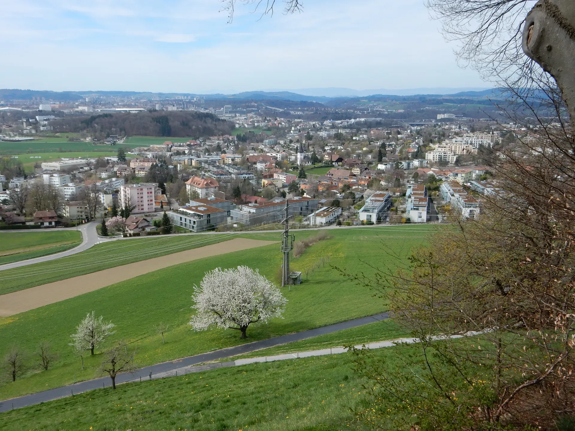 Stettlen