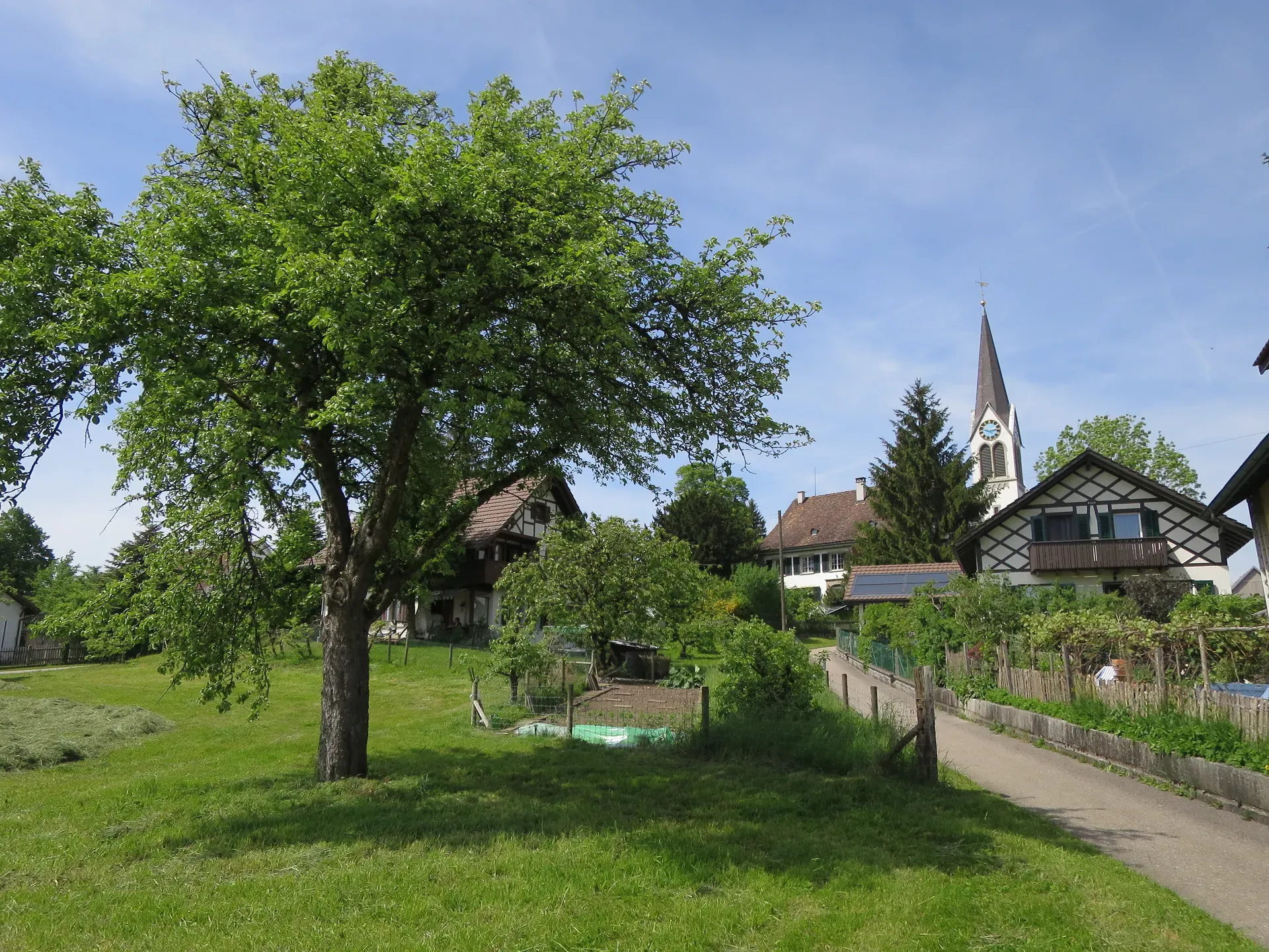 Tagelswangen