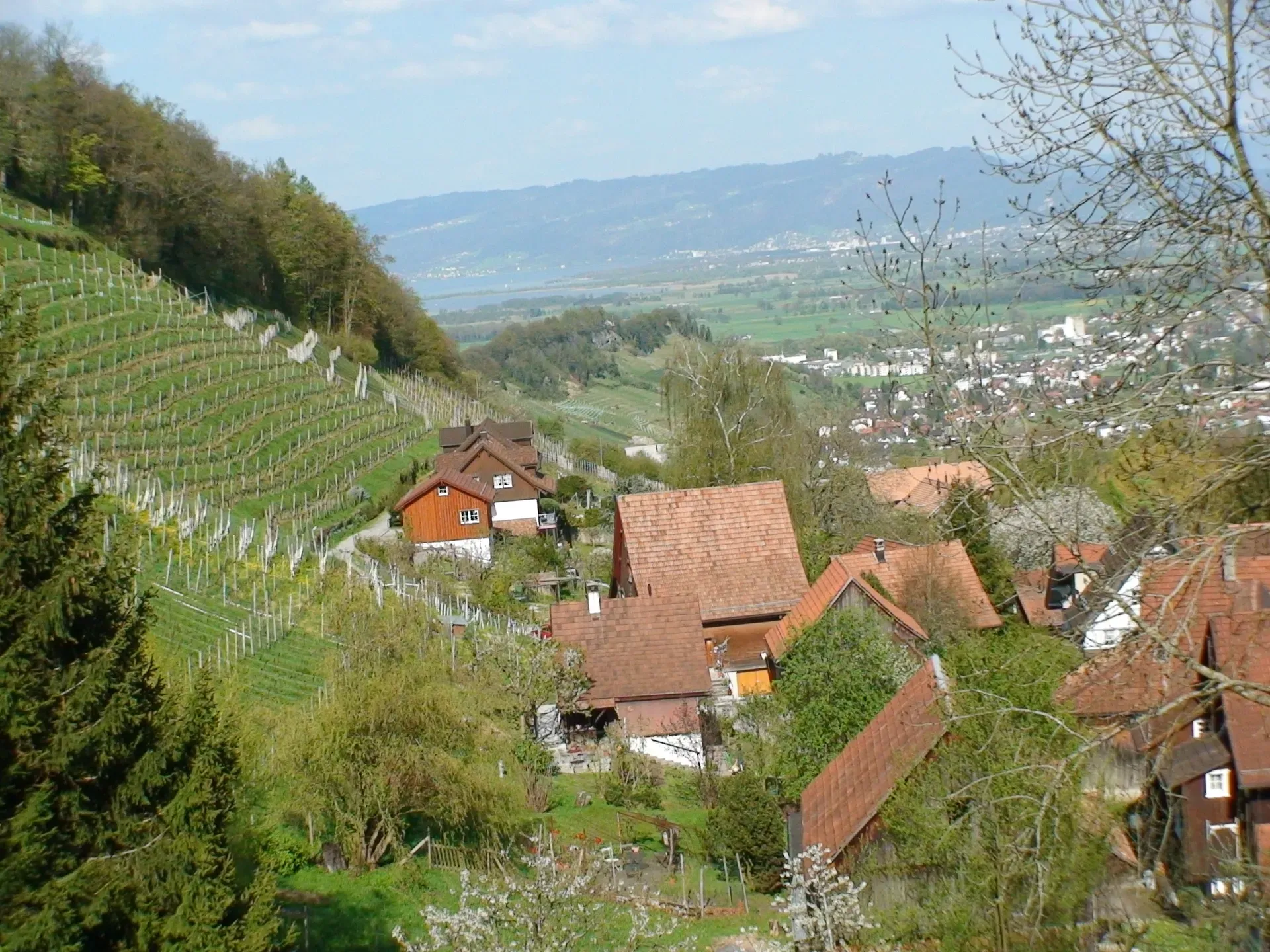 Wienacht-Tobel