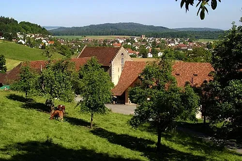 Wildegg