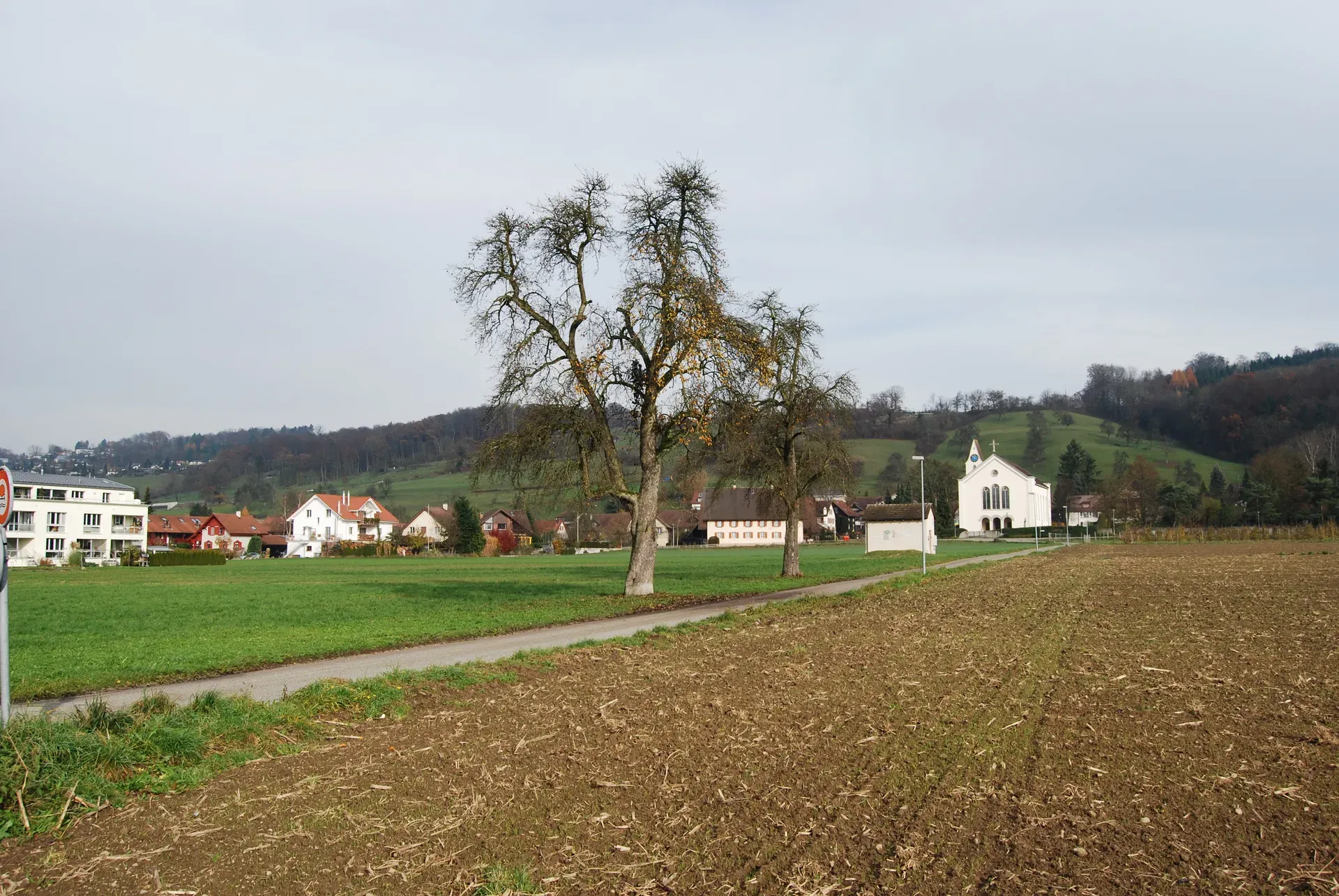 Zufikon