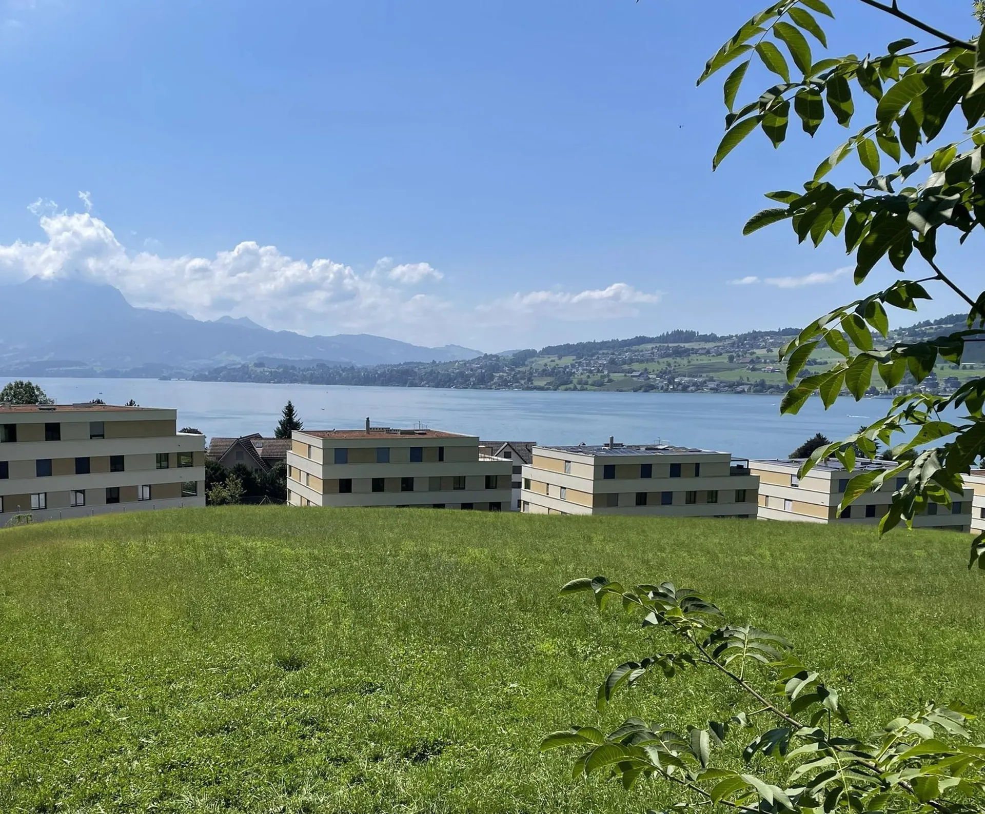 Exklusive 5.5-Zimmer-Einfamilienhäuser (DEFH) - Steinmatt am Rubibach