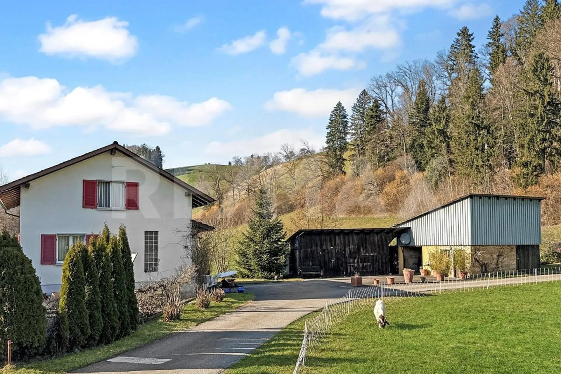 Heimeliges Bahnwärterhüsli mit Werkstatt, eigener Wasserquelle, Holzlager und viel Potenzial