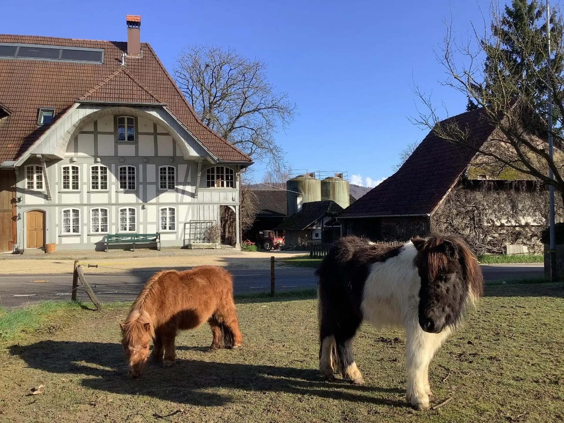 190m2 Lebensraum - Erstvermietung auf dem Bauernhof