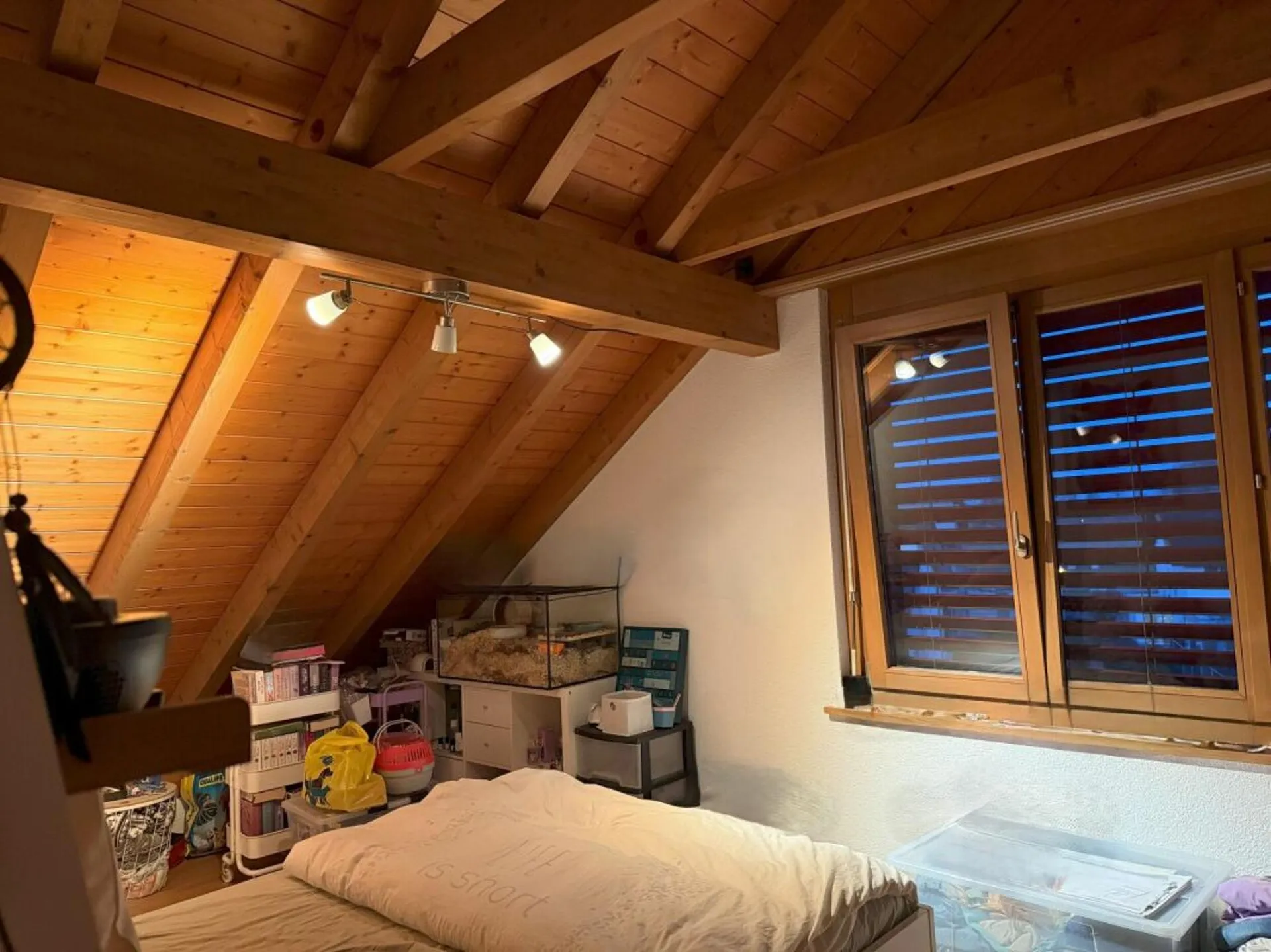 Bild 11