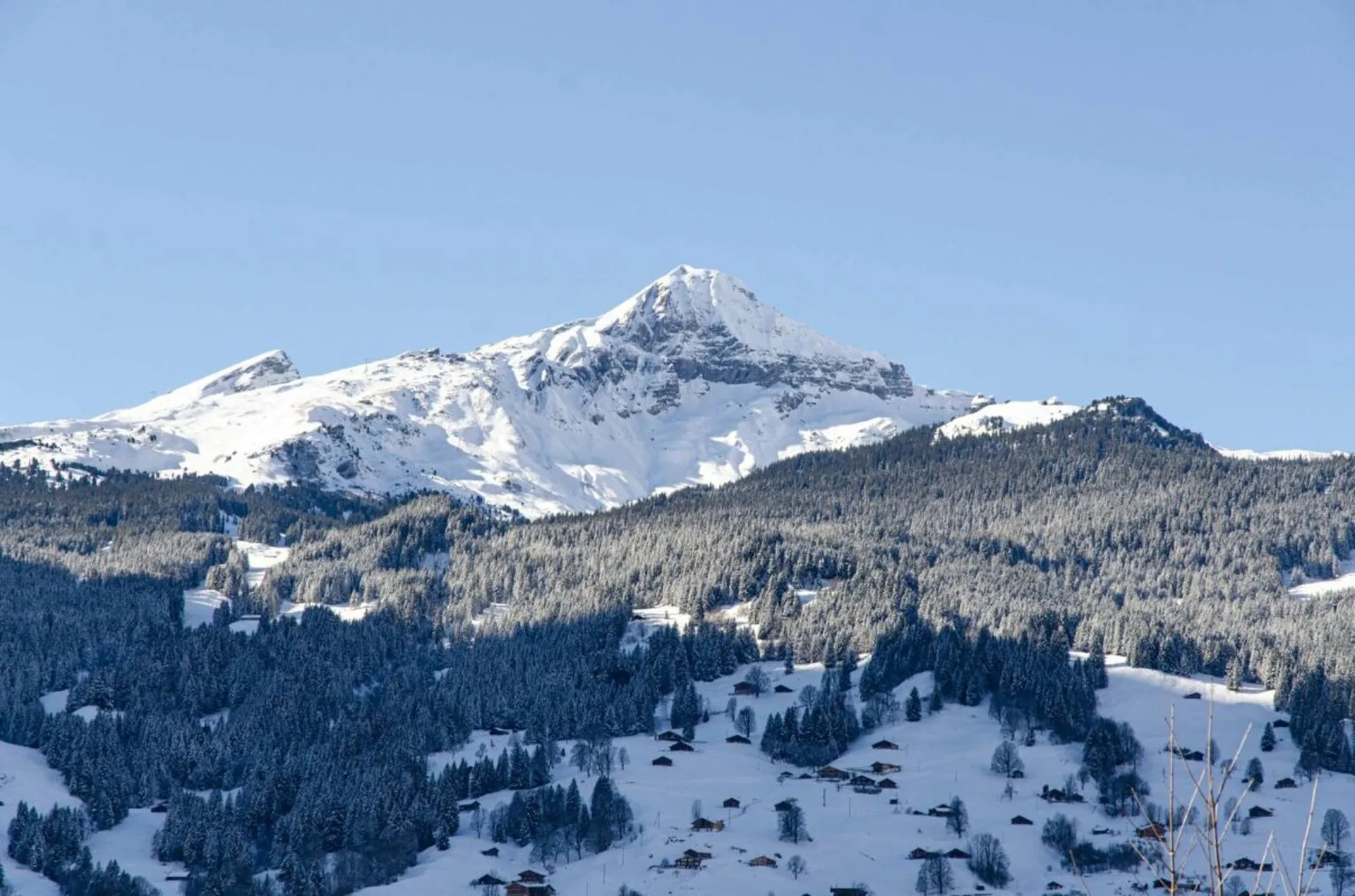 Immagine 3