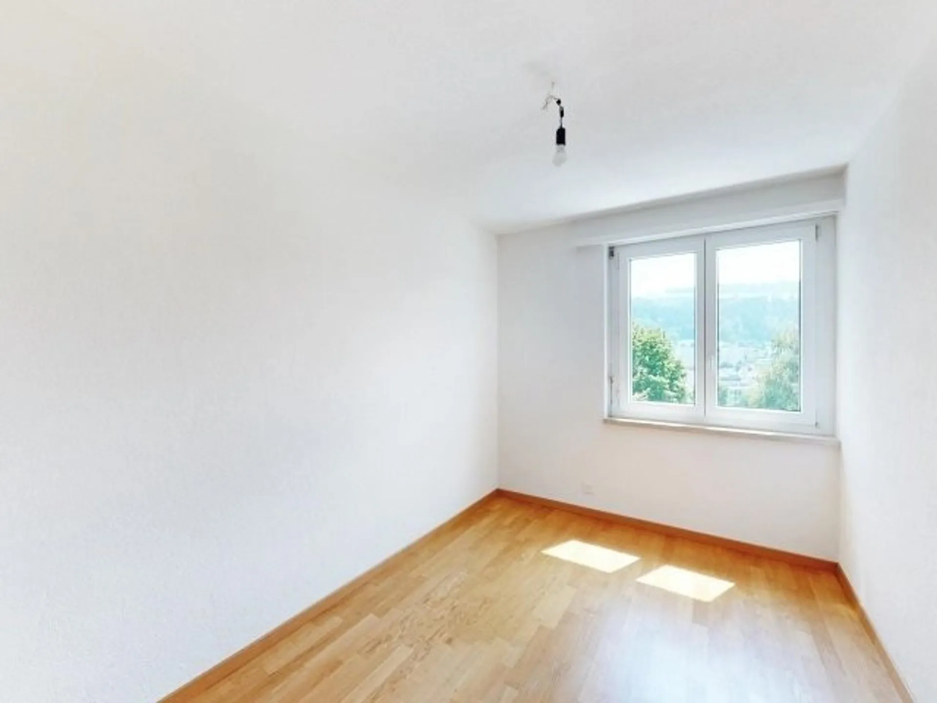 Image 13