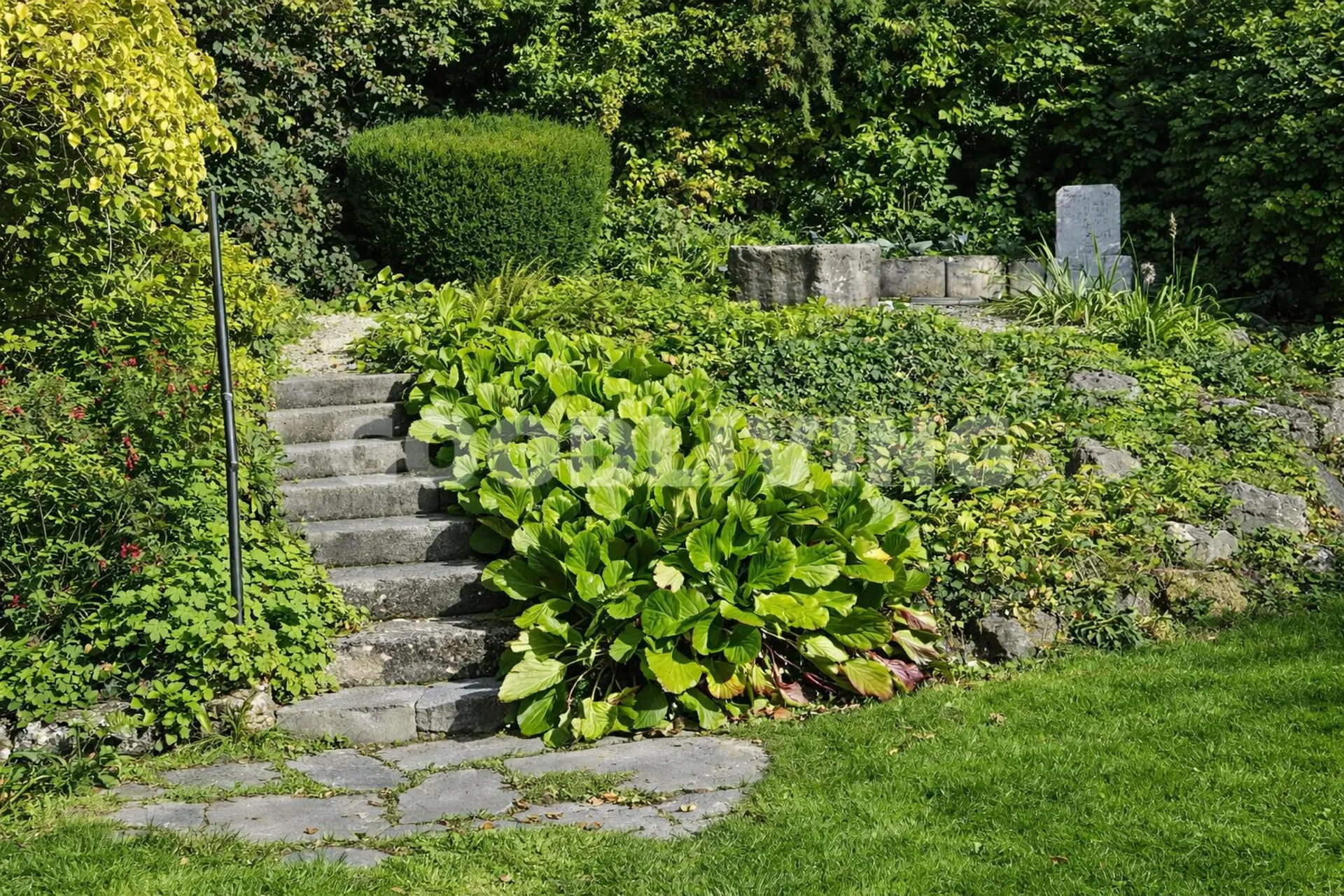 Image 10