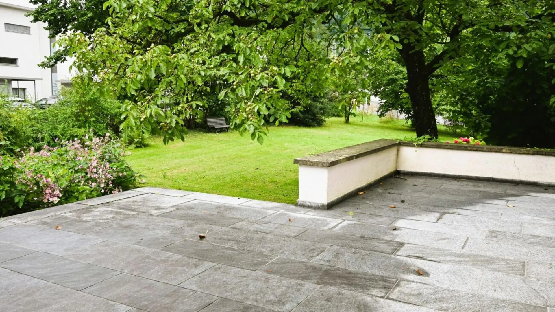 Image 20