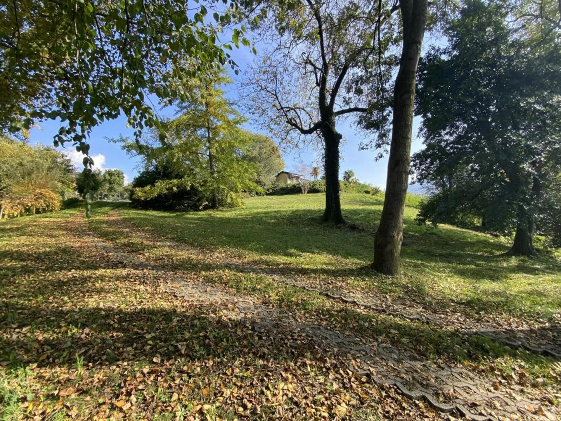 Image 21